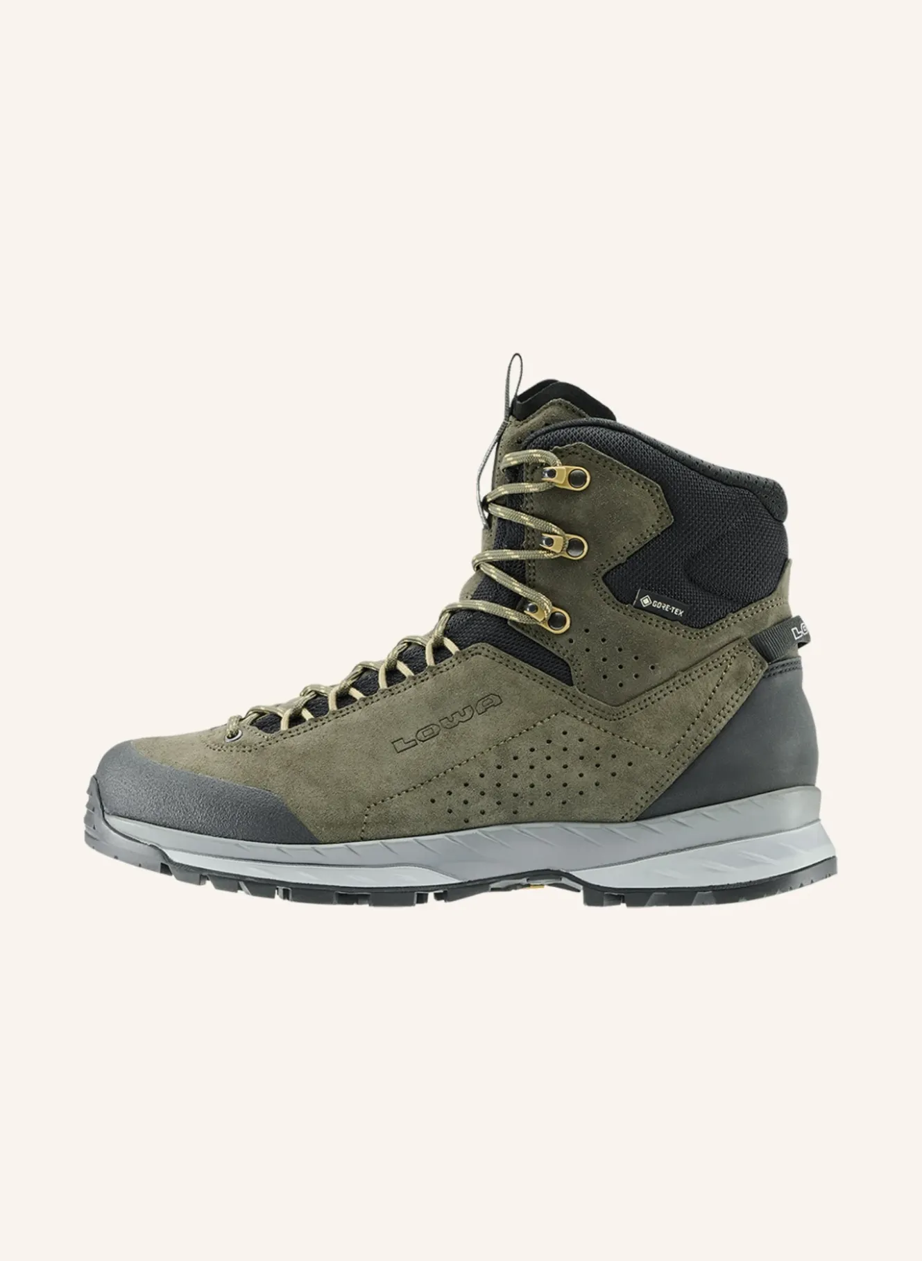 Trekking-Schuhe DELAGO GTX MID