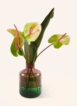 Vase FORMY S
