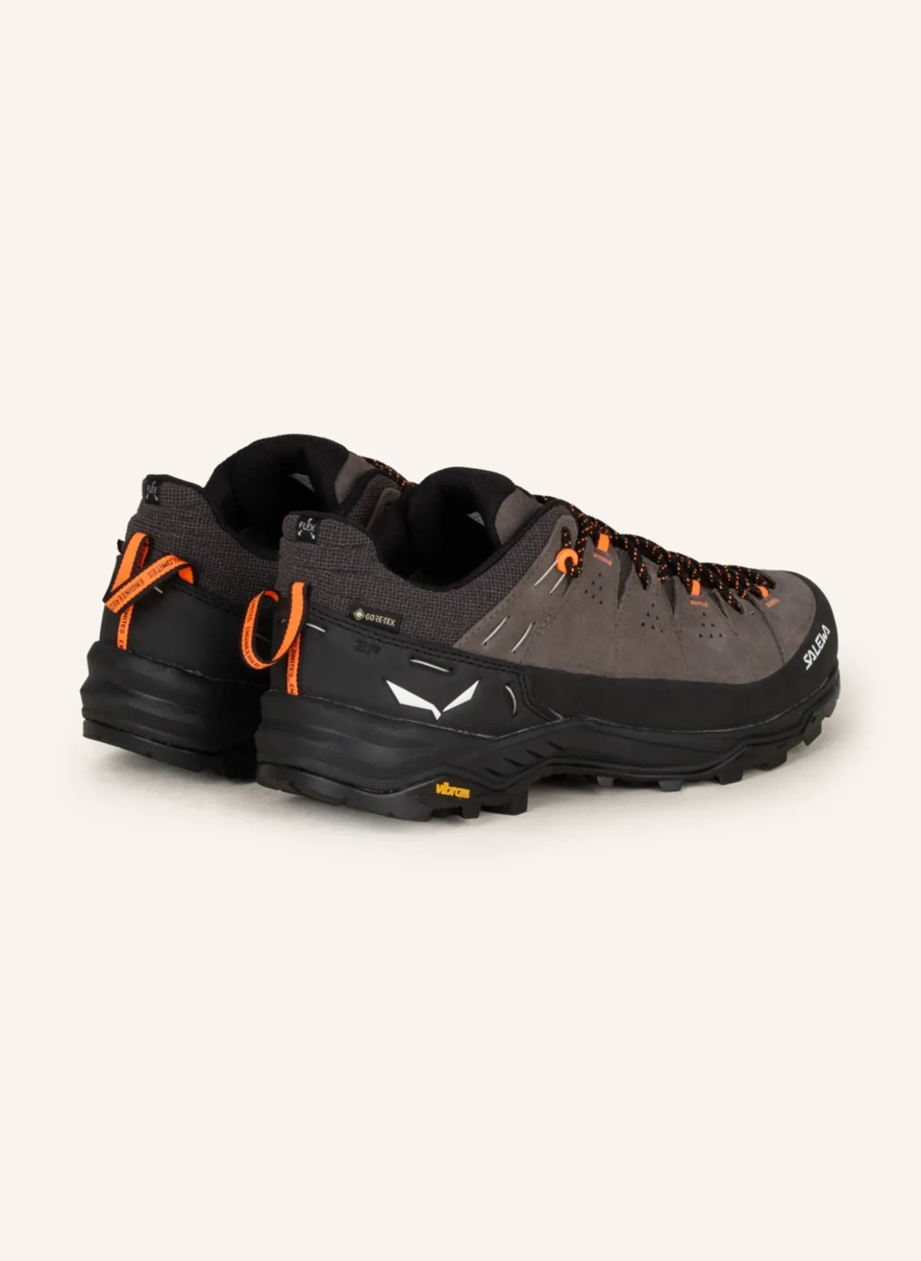 Wanderschuhe ALP TRAINER 2 GTX