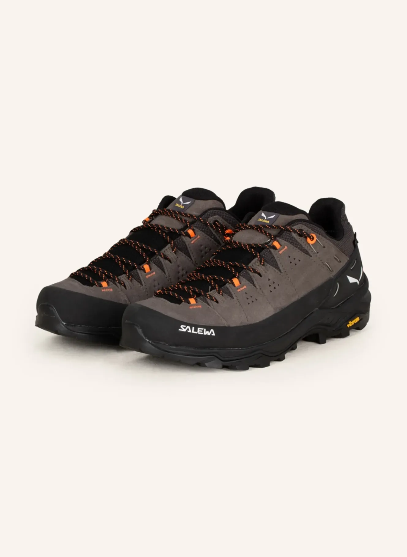 Wanderschuhe ALP TRAINER 2 GTX