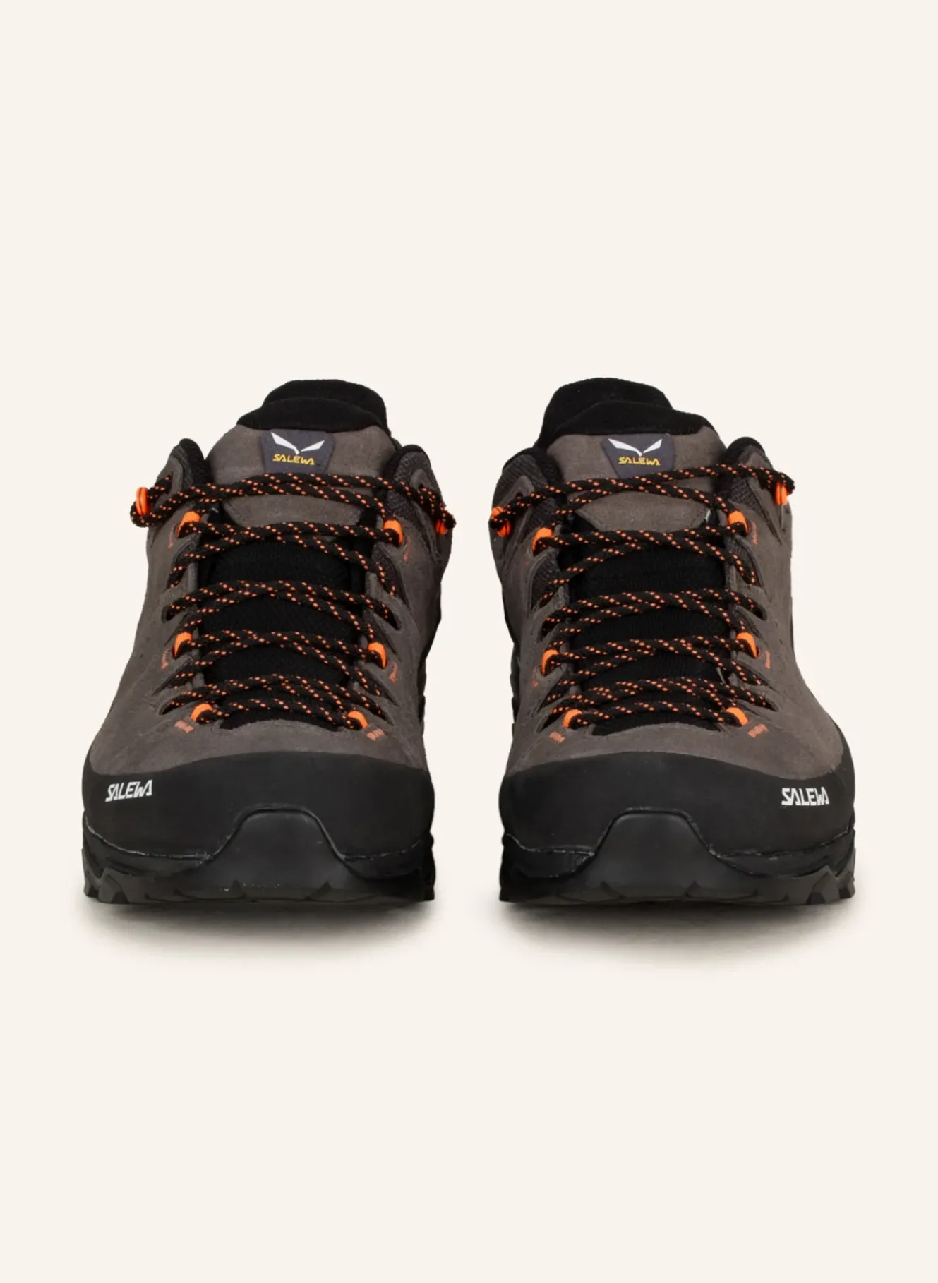 Wanderschuhe ALP TRAINER 2 GTX