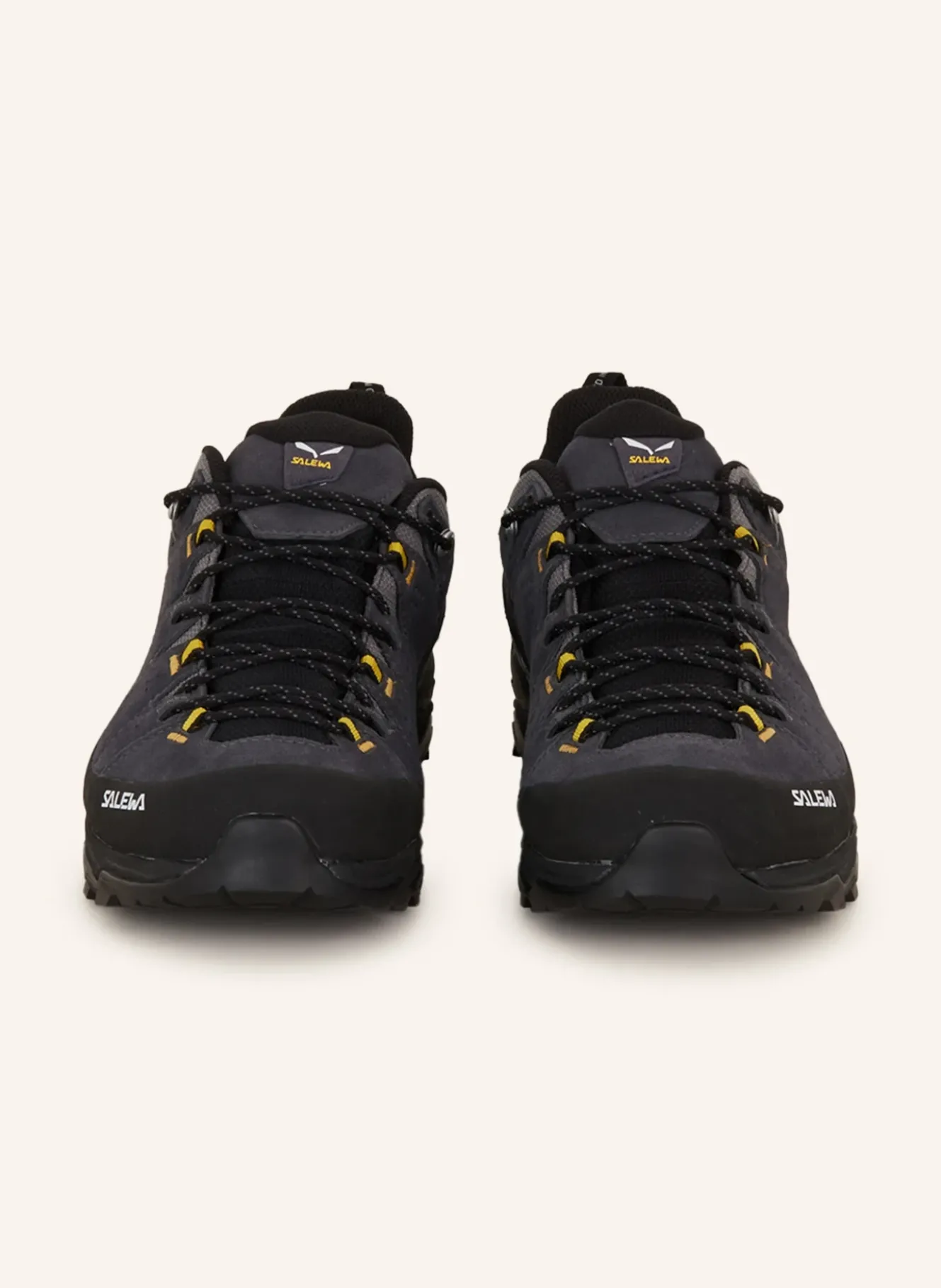 Wanderschuhe ALP TRAINER 2 GTX