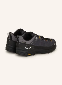 Wanderschuhe ALP TRAINER 2 GTX