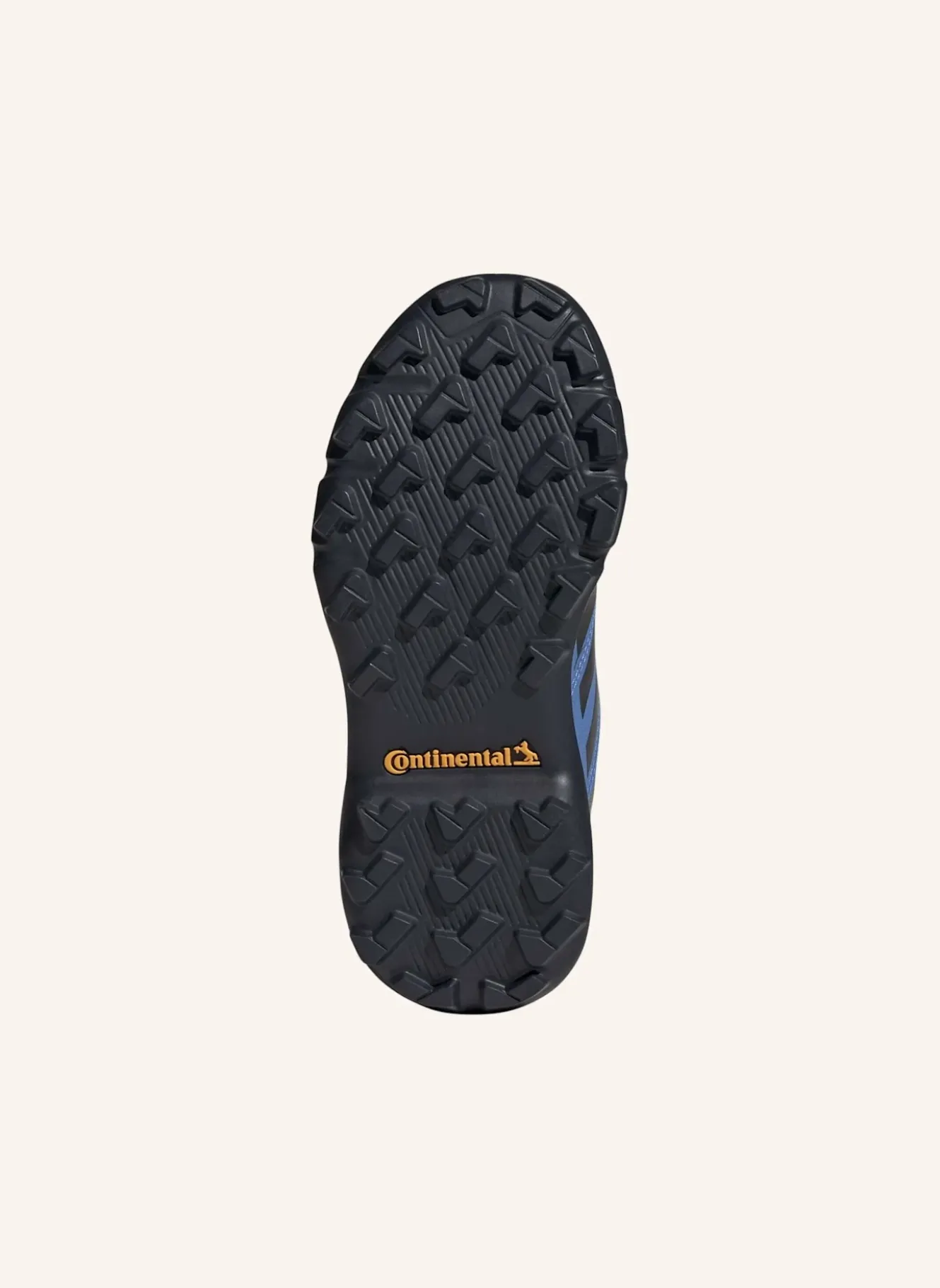 Wanderschuhe TERREX GTX
