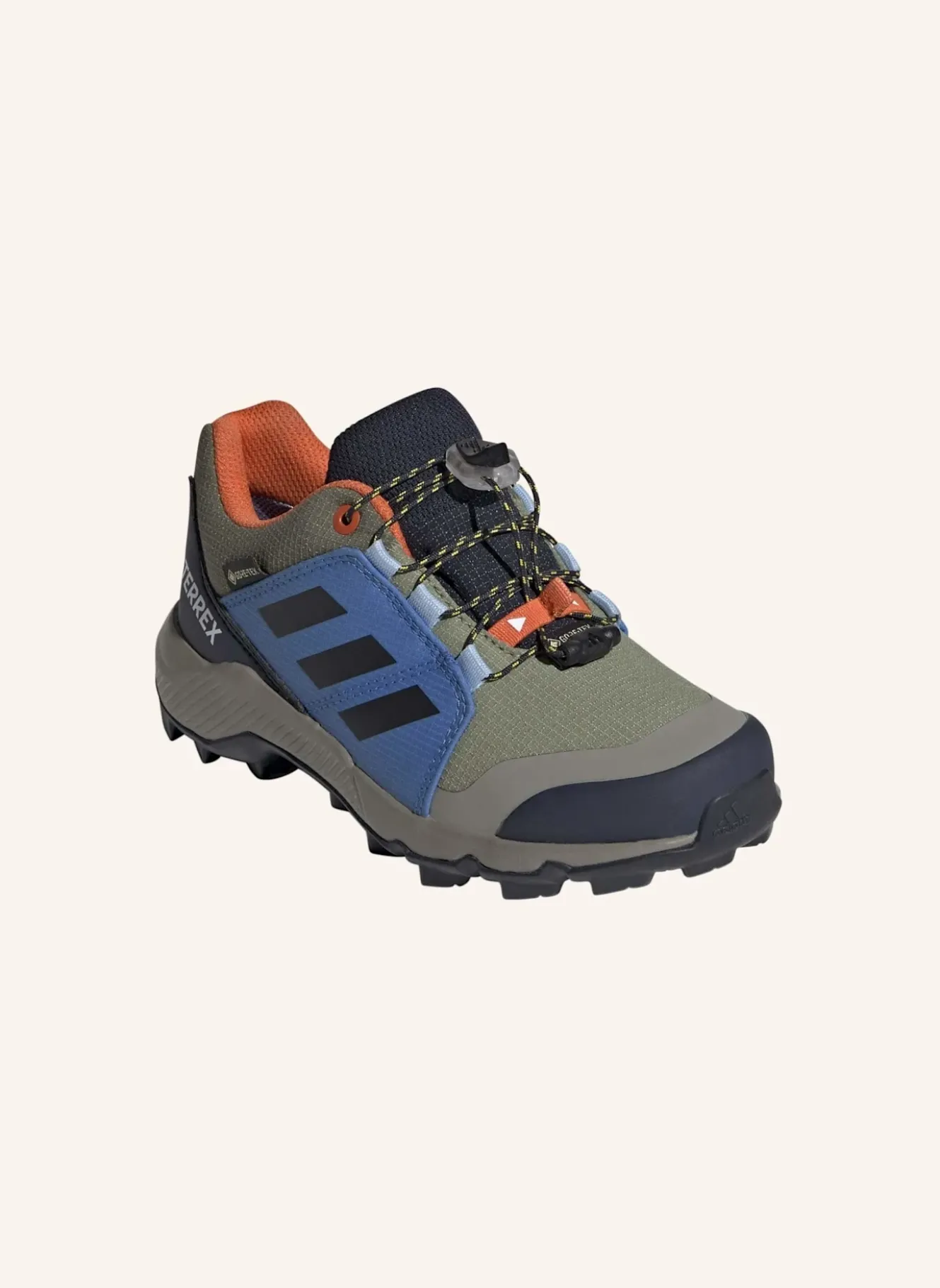 Wanderschuhe TERREX GTX