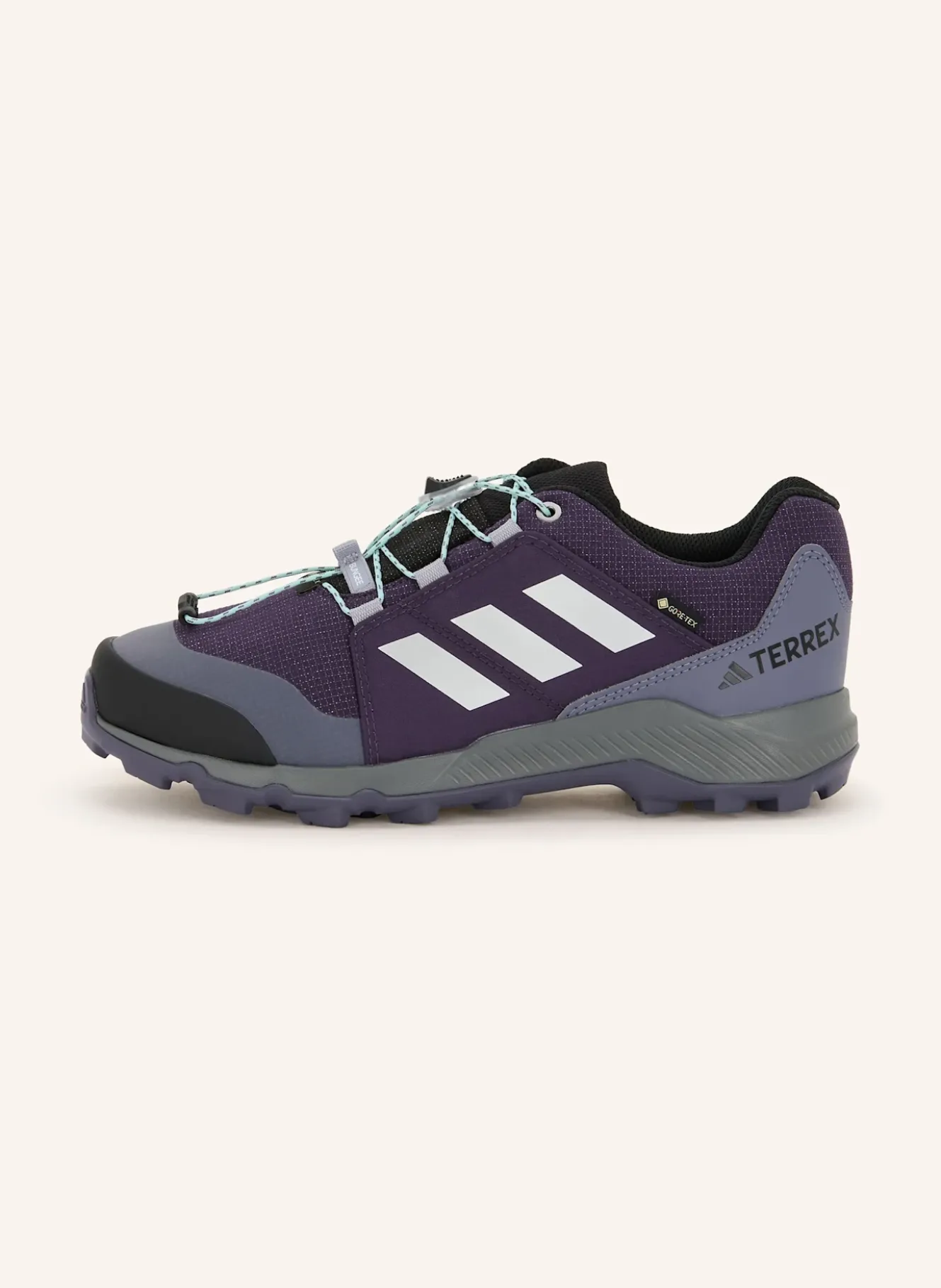 Wanderschuhe TERREX GTX