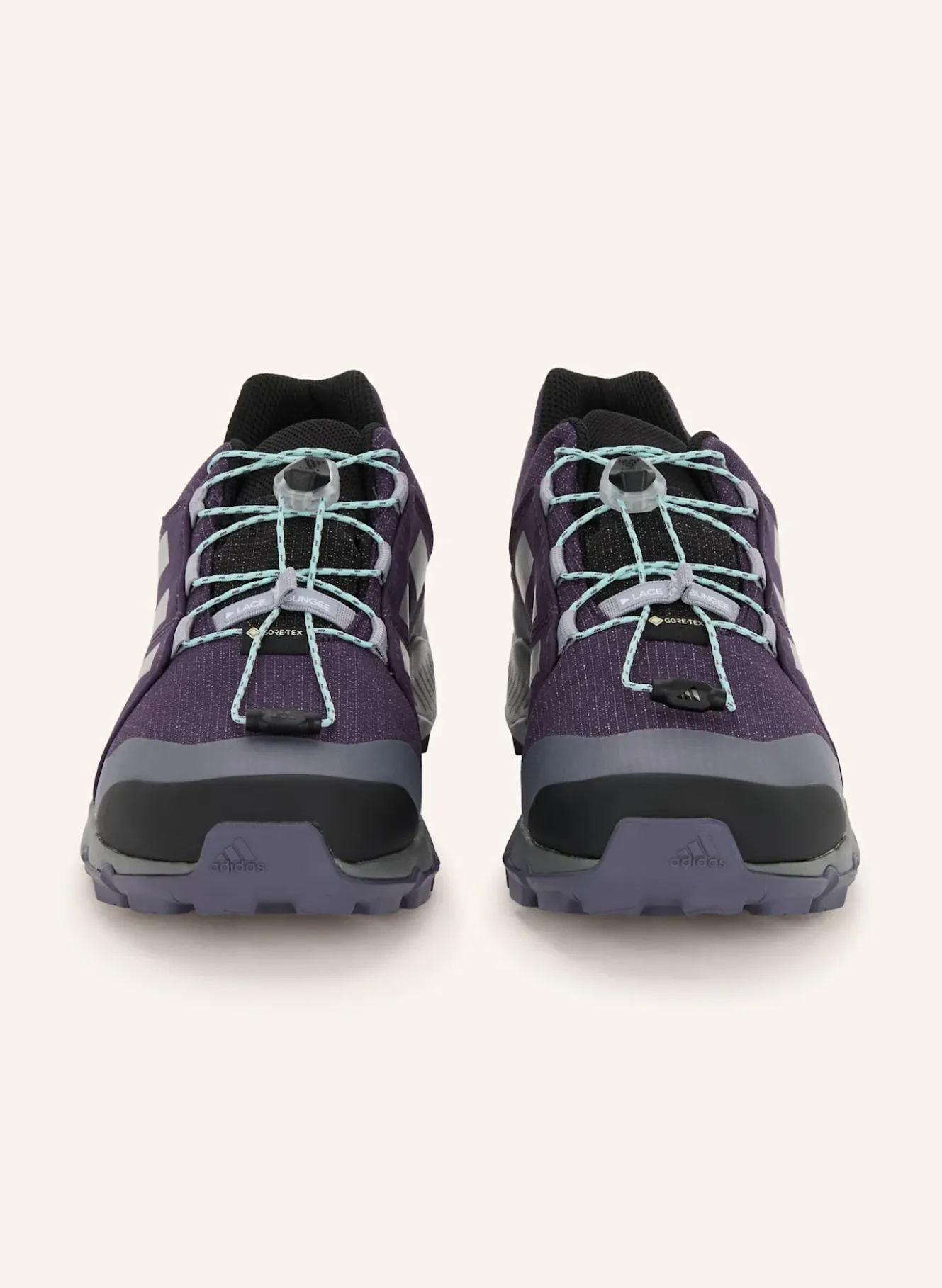Wanderschuhe TERREX GTX
