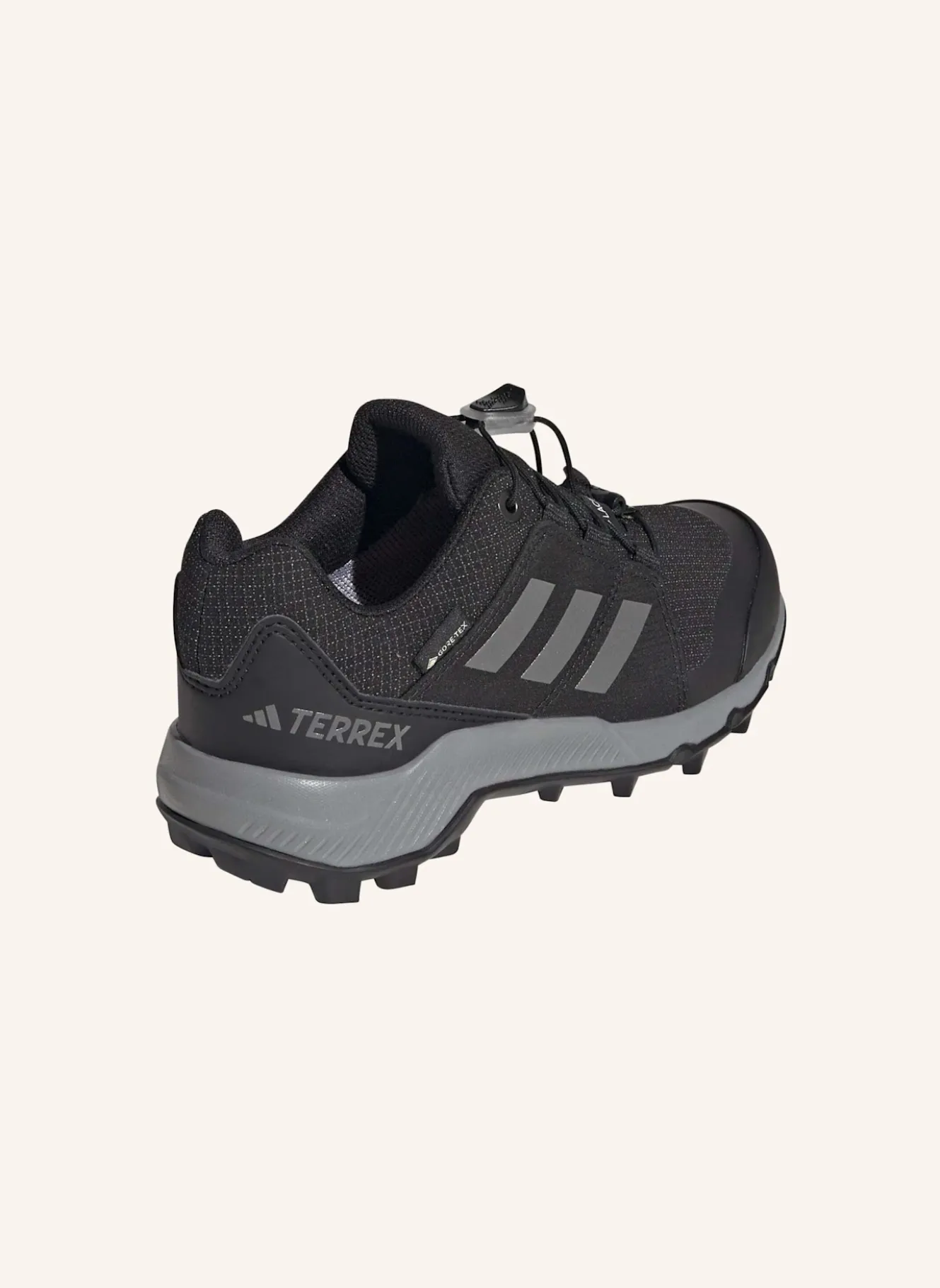 Wanderschuhe TERREX GTX