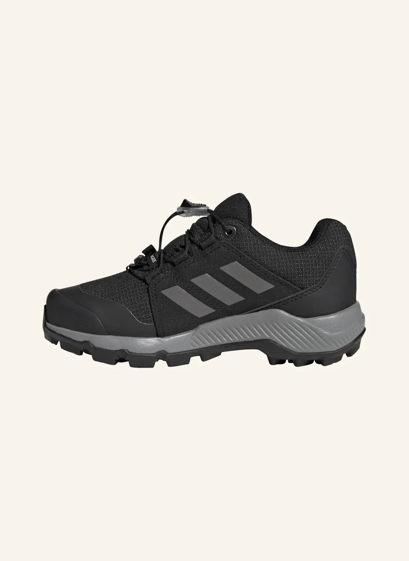 Wanderschuhe TERREX GTX