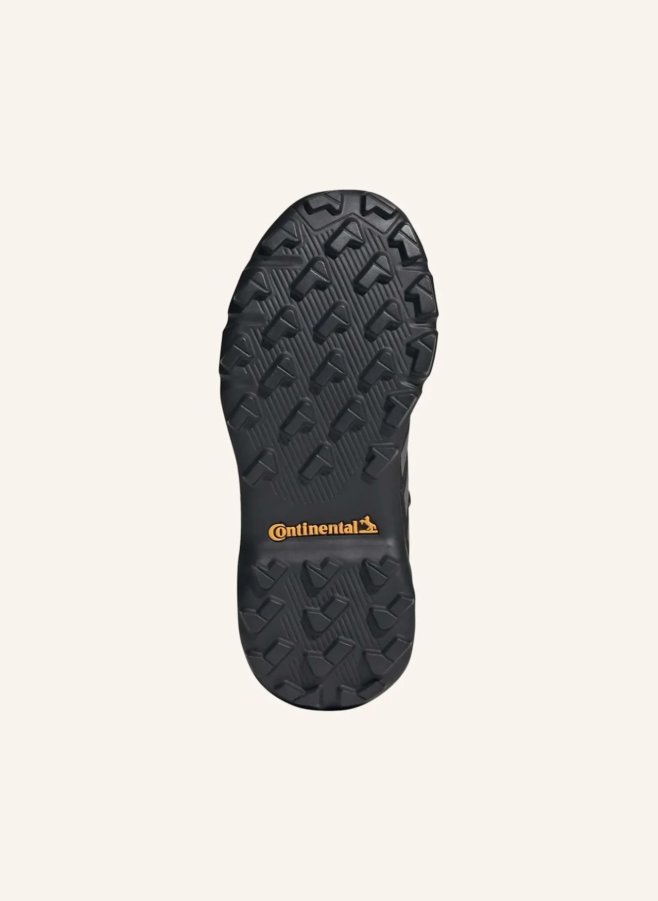 Wanderschuhe TERREX MID GTX