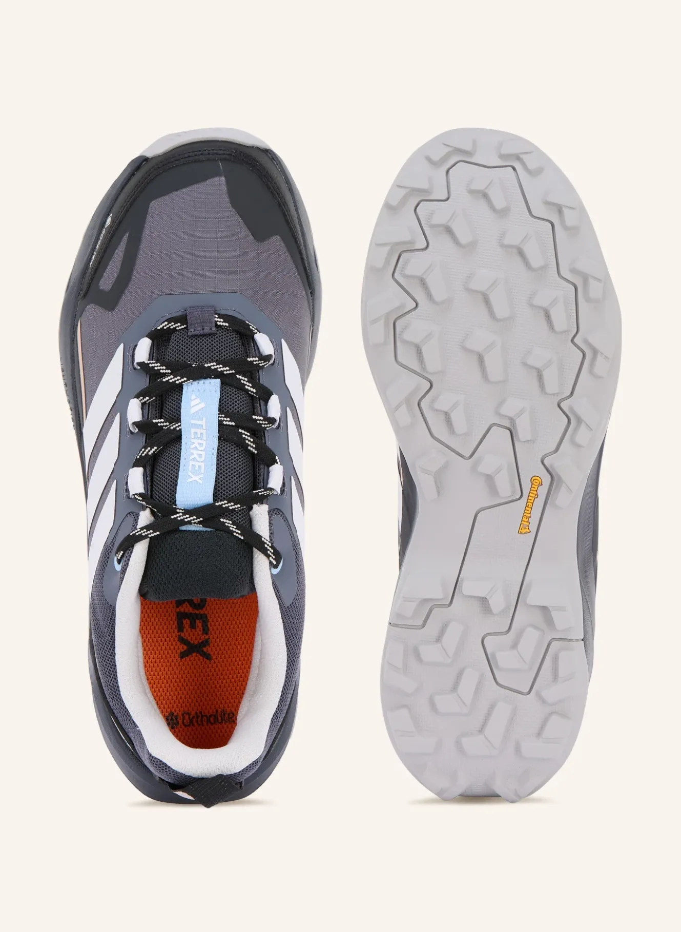 Wanderschuhe TERREX SKYCHASER AX5 GTX