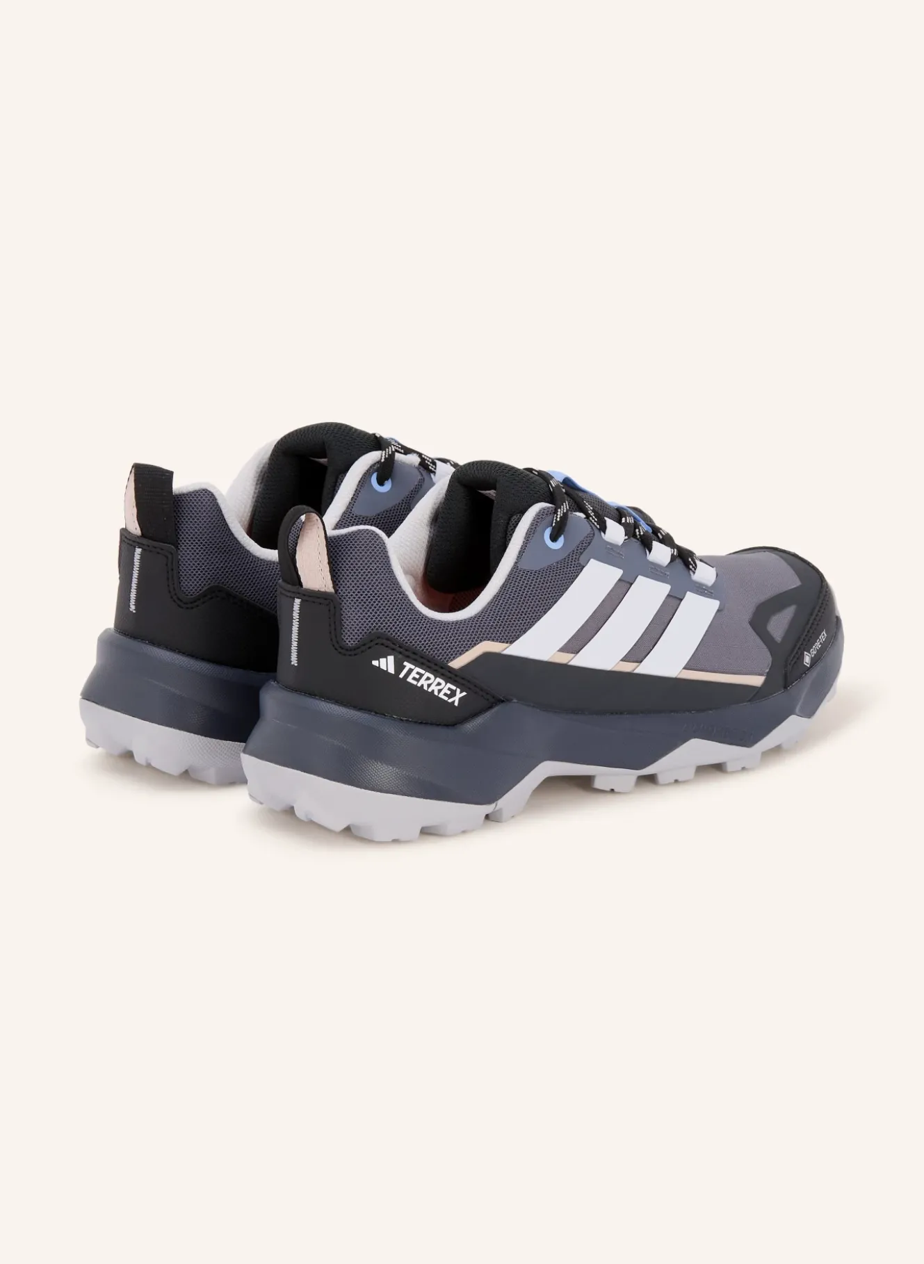 Wanderschuhe TERREX SKYCHASER AX5 GTX