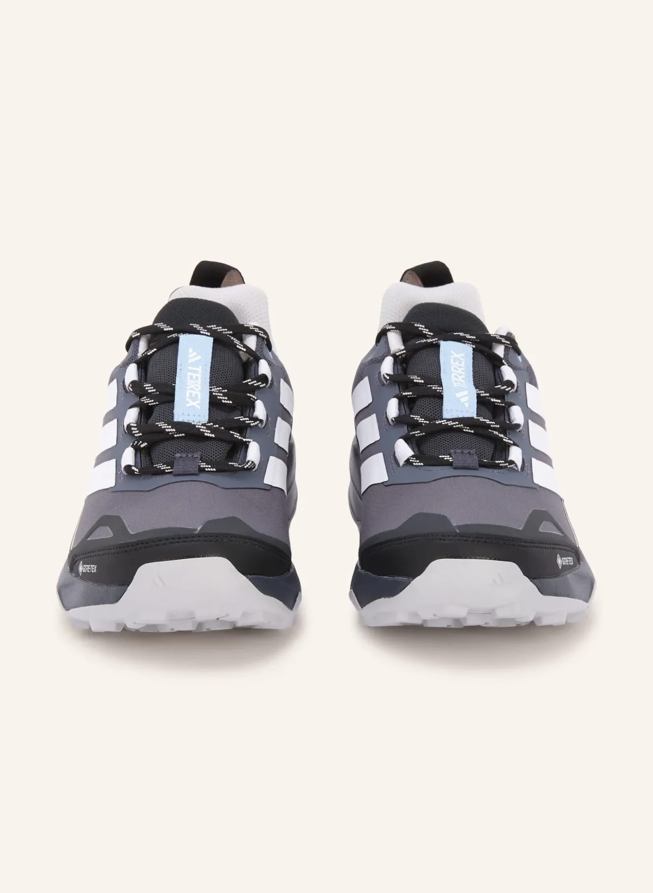 Wanderschuhe TERREX SKYCHASER AX5 GTX
