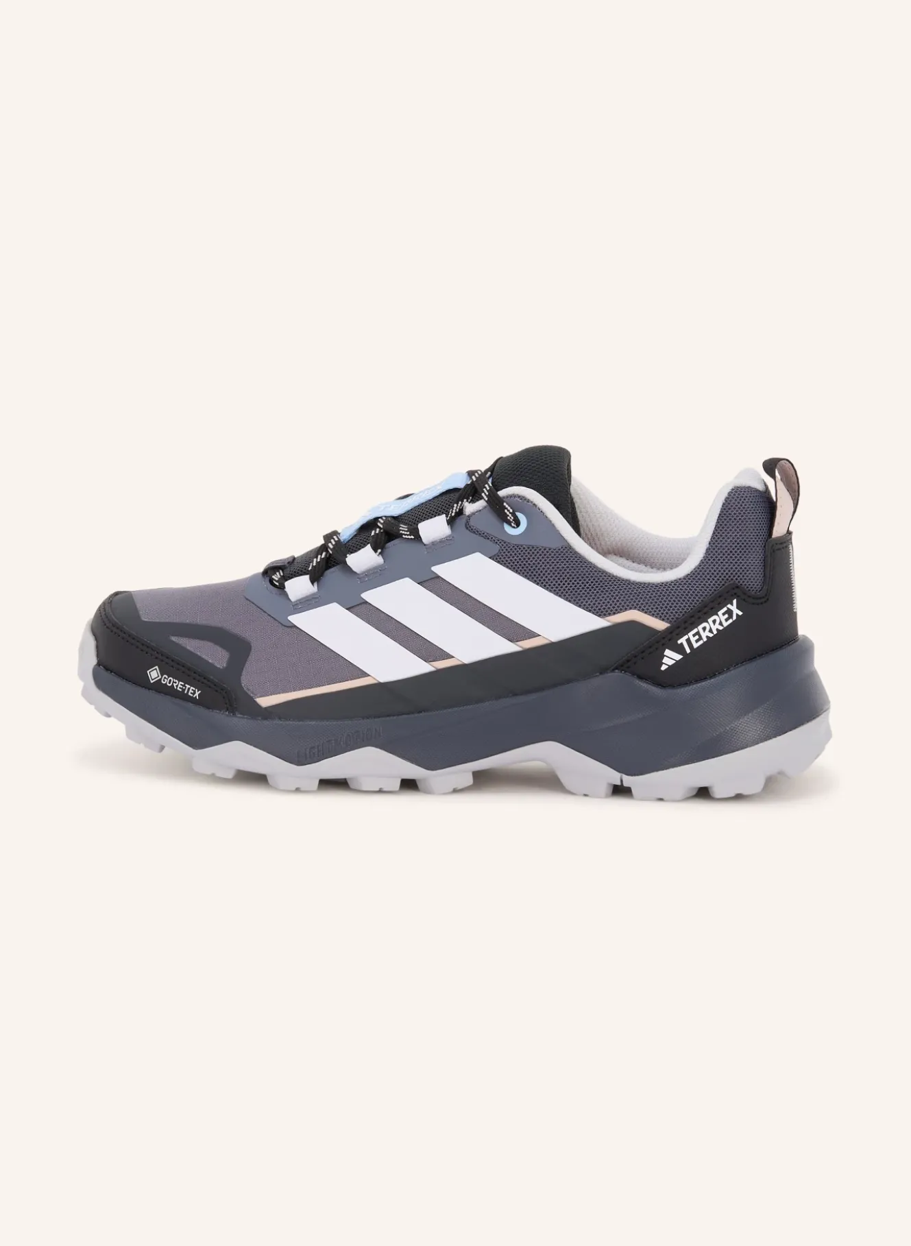 Wanderschuhe TERREX SKYCHASER AX5 GTX