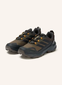 Wanderschuhe TERREX SKYCHASER AX5 GTX