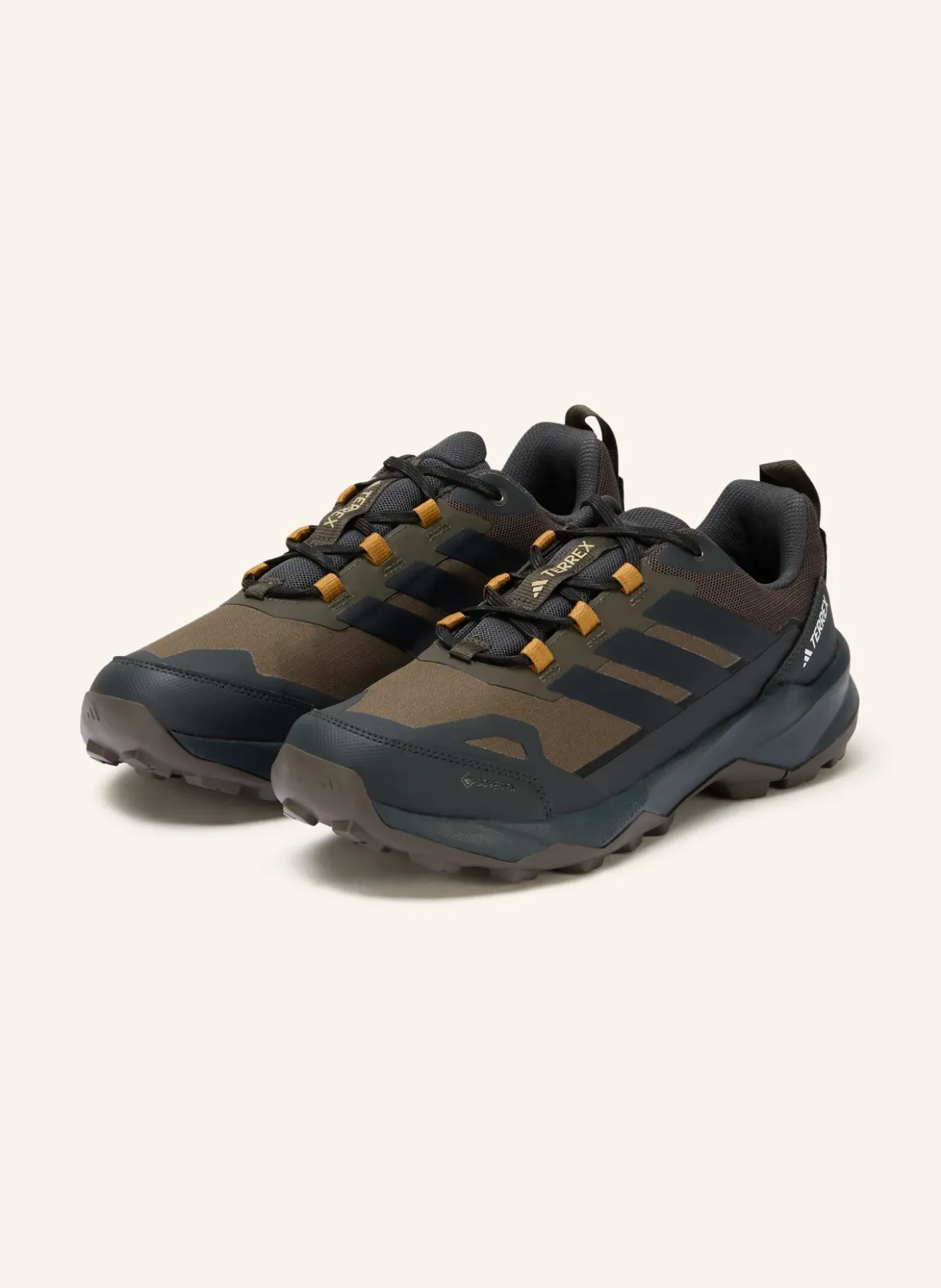 Wanderschuhe TERREX SKYCHASER AX5 GTX