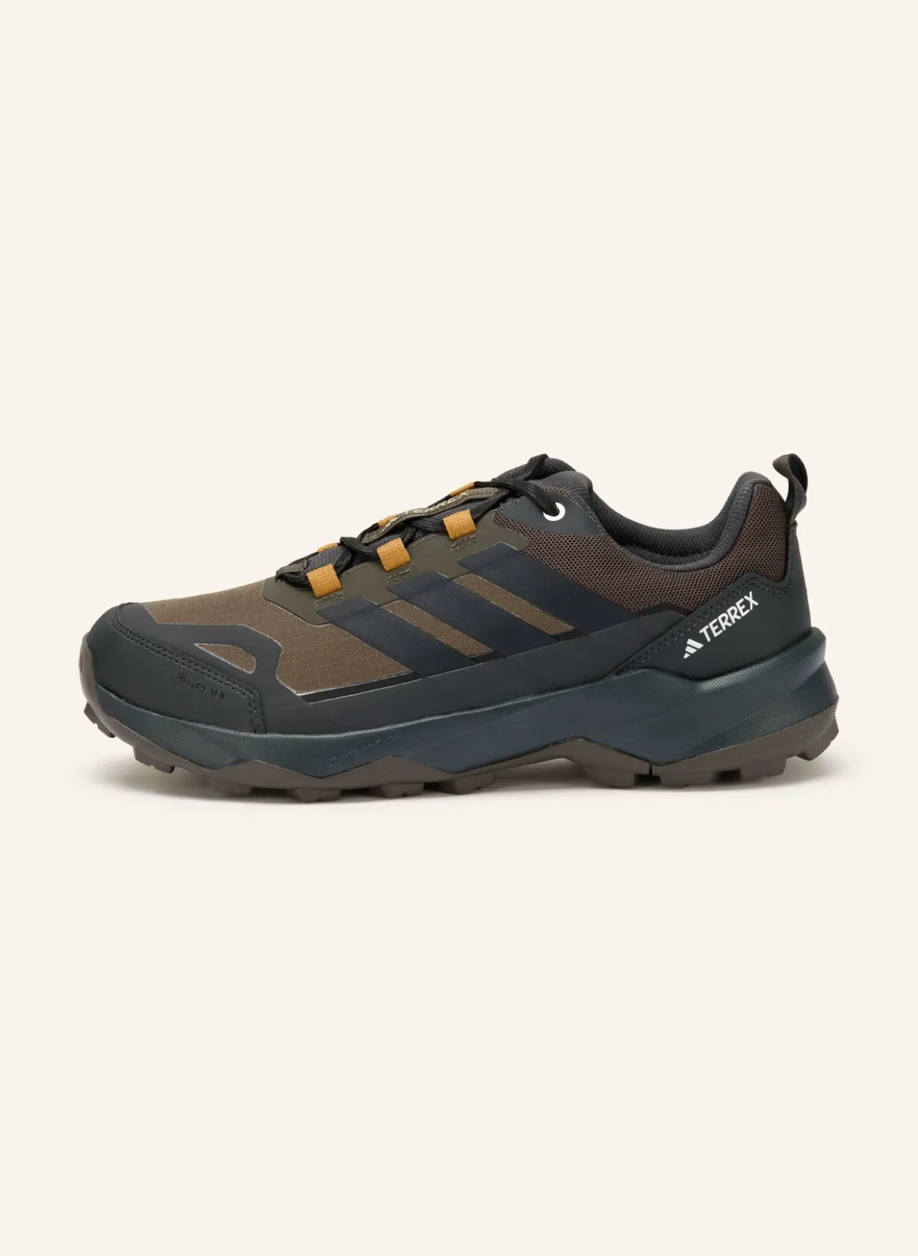 Wanderschuhe TERREX SKYCHASER AX5 GTX