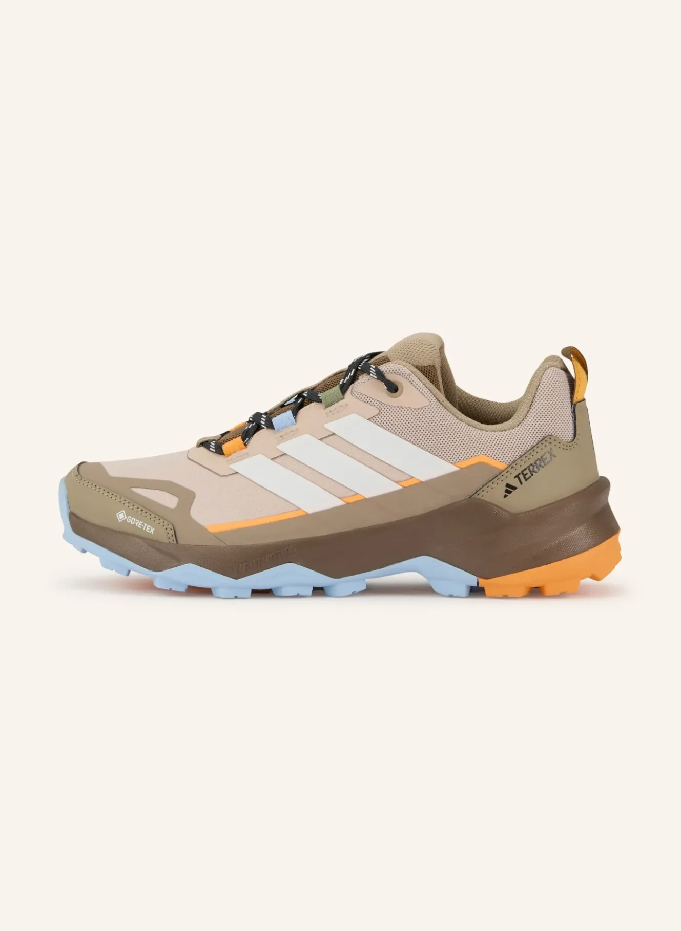 Wanderschuhe TERREX SKYCHASER AX5 GTX