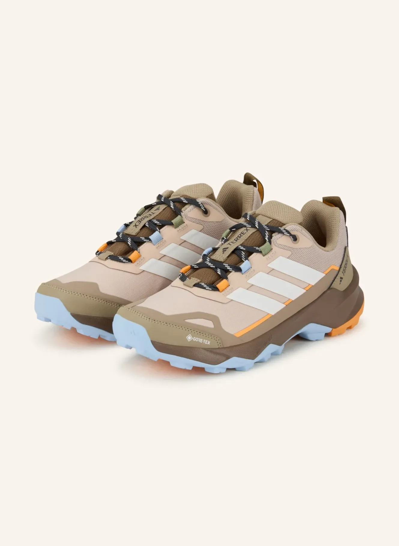 Wanderschuhe TERREX SKYCHASER AX5 GTX
