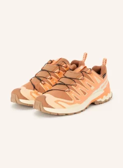 Wanderschuhe XA PRO 3D V9 GTX