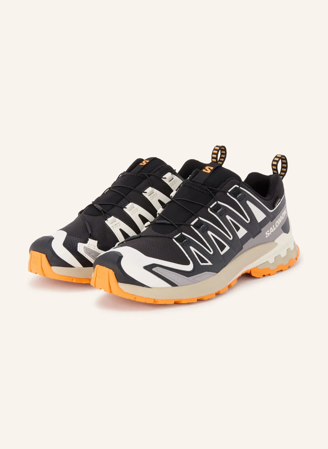 Wanderschuhe XA PRO 3D V9 GTX