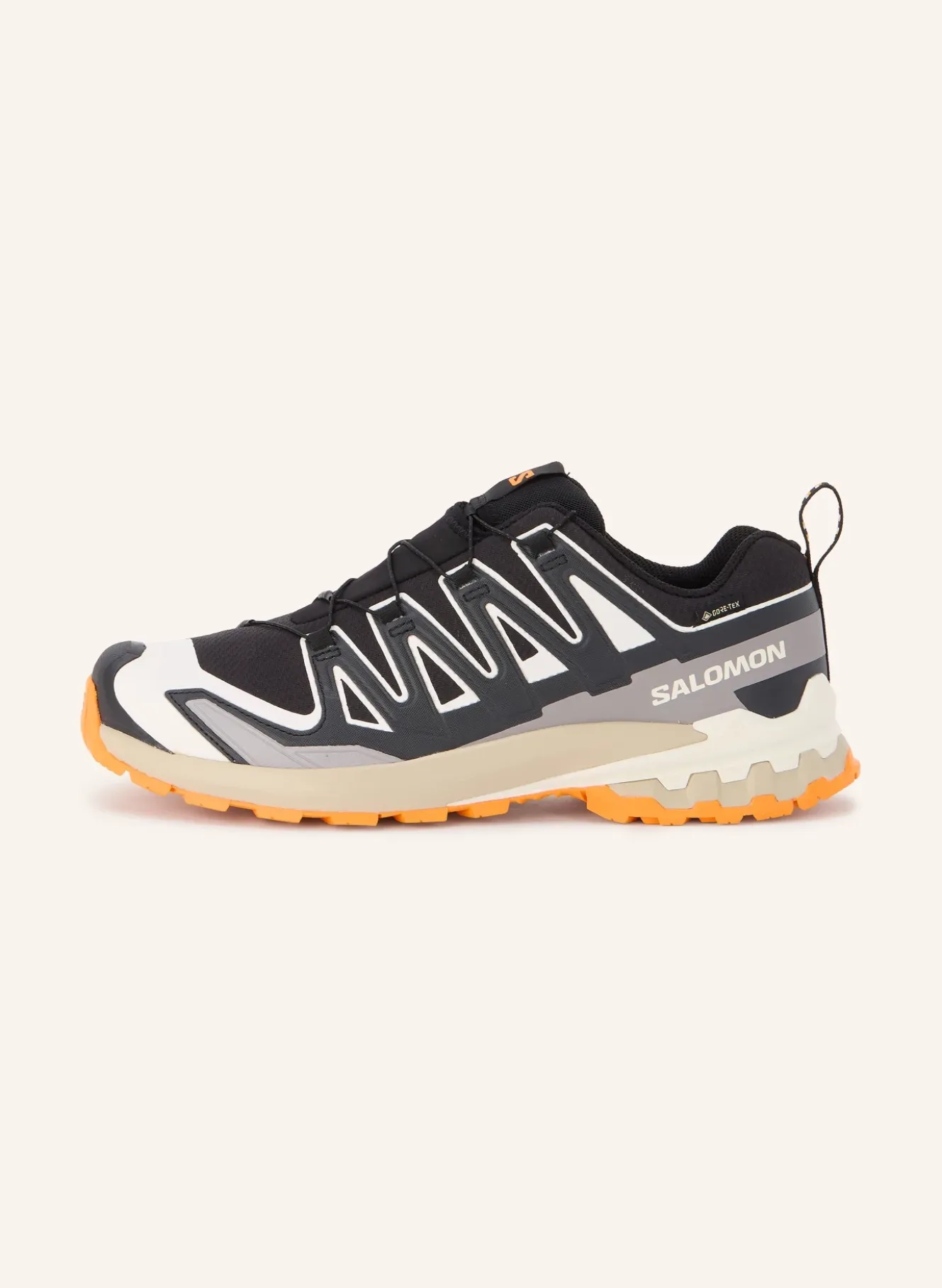 Wanderschuhe XA PRO 3D V9 GTX