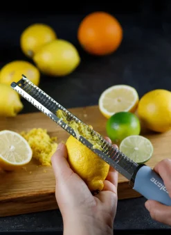 Zester-Reibe